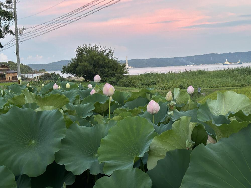 能登島ぐるり一周（ノトイチ）の写真18