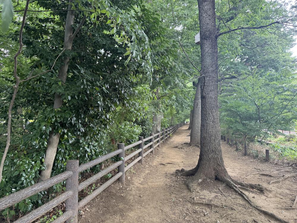 玉川上水ラン　新小平駅〜拝島駅15キロの写真3
