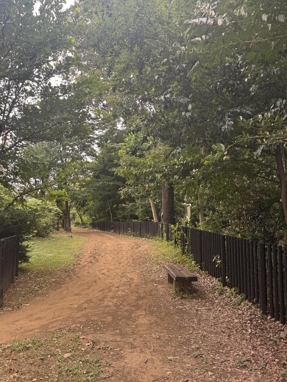 玉川上水ラン　新小平駅〜拝島駅15キロの写真4