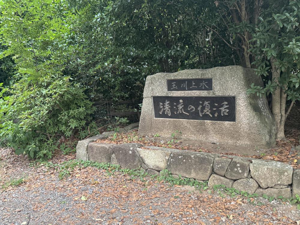 玉川上水ラン　新小平駅〜拝島駅15キロの写真5