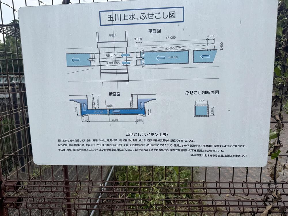 玉川上水ラン　新小平駅〜拝島駅15キロの写真6