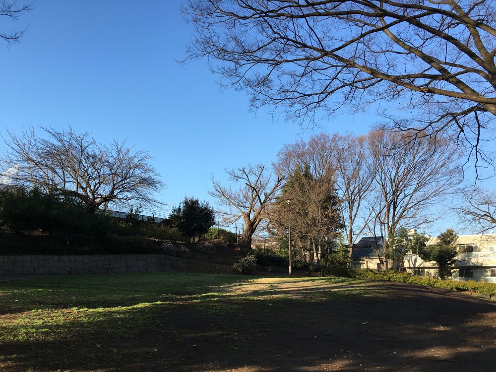 都会の喧騒から抜け出す森林浴ランの写真3