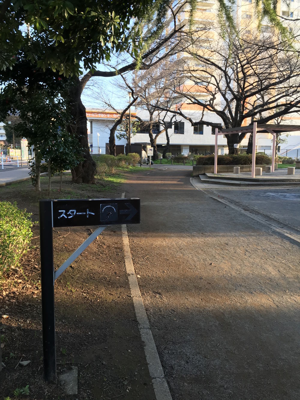 都会の喧騒から抜け出す森林浴ランの写真4