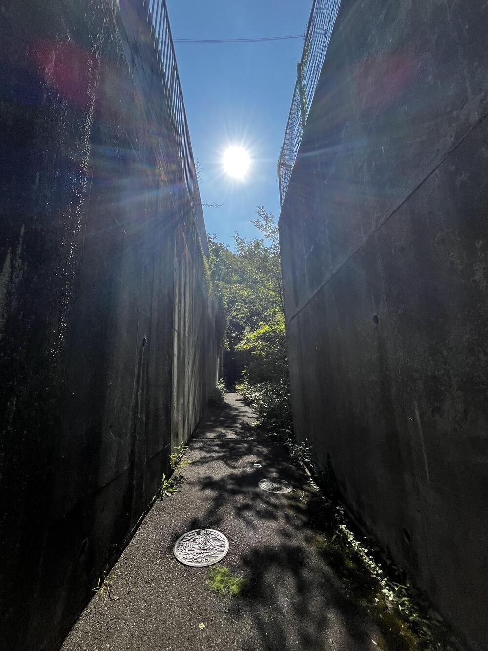 飯盛城跡は回廊や石垣が残る城マニアに人気の写真6