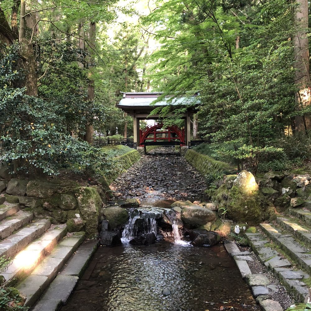 新潟屈指のパワースポット！弥彦神社を目指すランの写真6