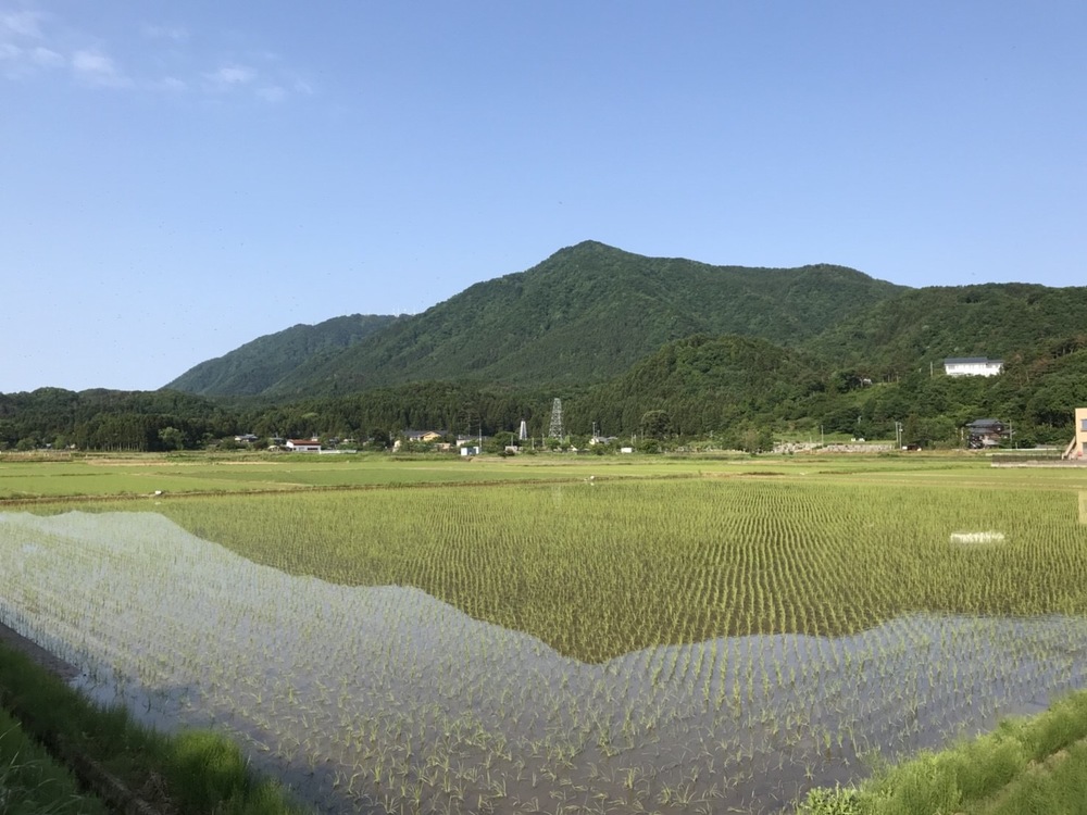 新潟屈指のパワースポット！弥彦神社を目指すランの写真7