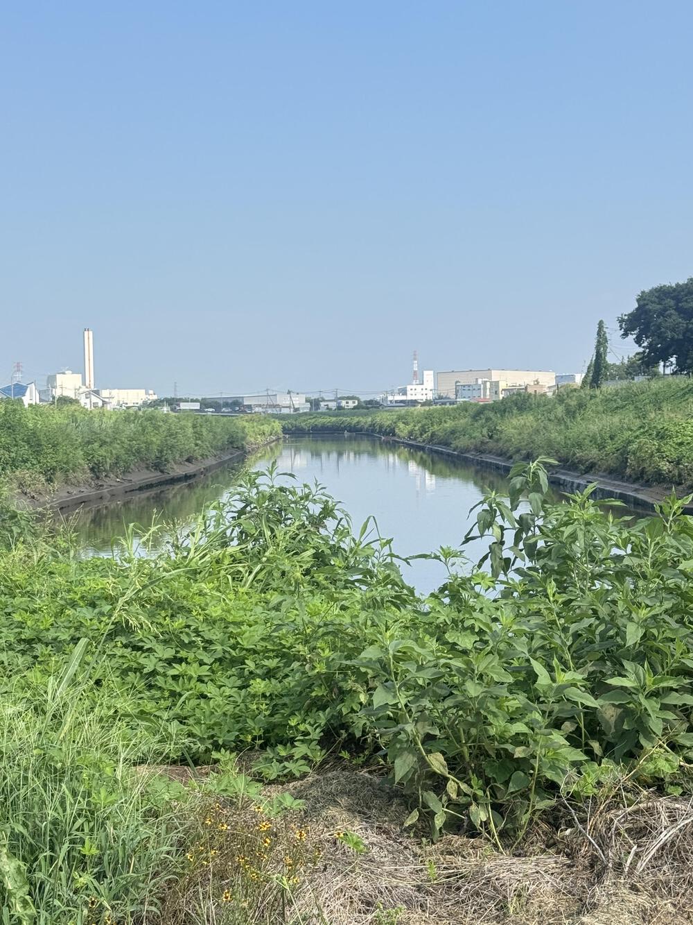 朝霞台（北朝霞）駅から柳瀬川駅　黒目川〜新河岸川〜柳瀬川を繋いで10キロの写真4