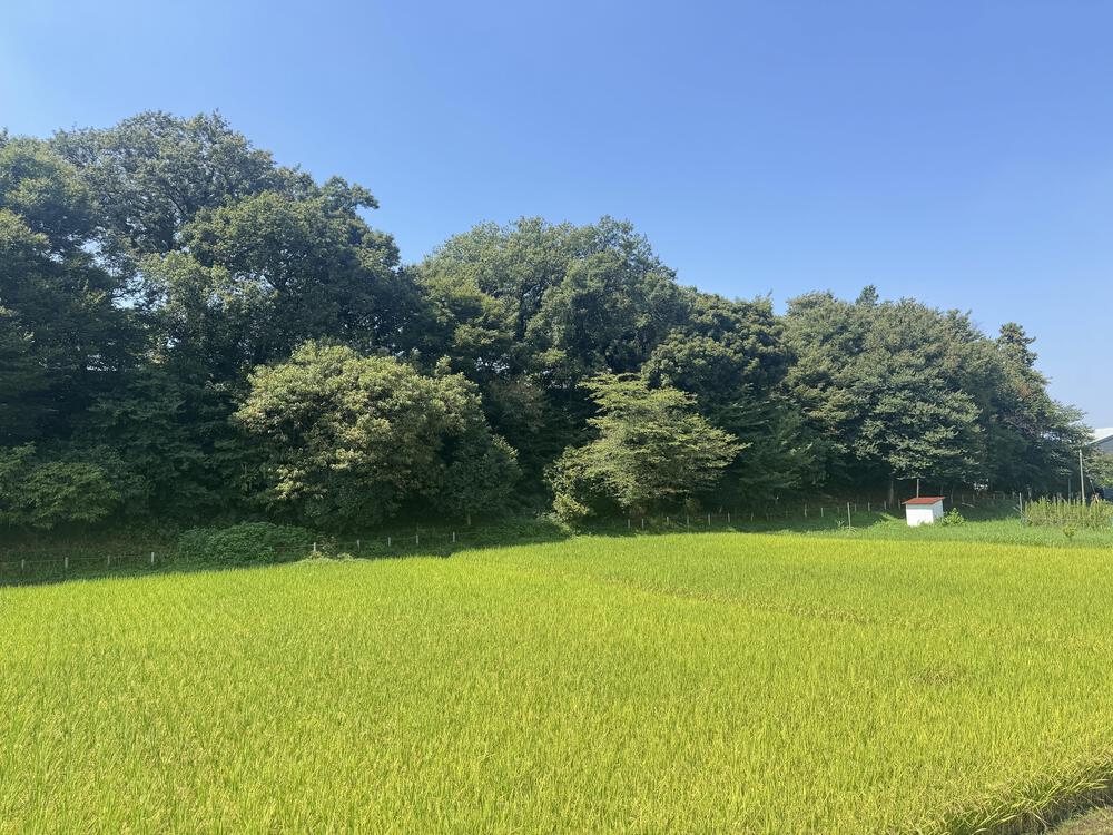 朝霞台（北朝霞）駅から柳瀬川駅　黒目川〜新河岸川〜柳瀬川を繋いで10キロの写真5