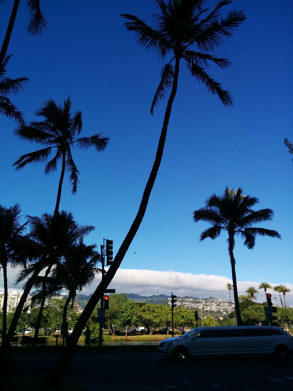 アラワイ運河・ほのぼのとした時間を。の写真3