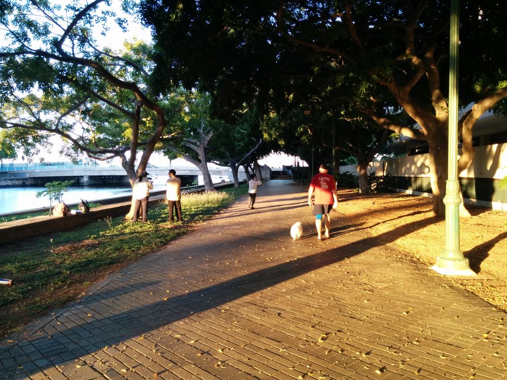 アラワイ運河・ほのぼのとした時間を。の写真6