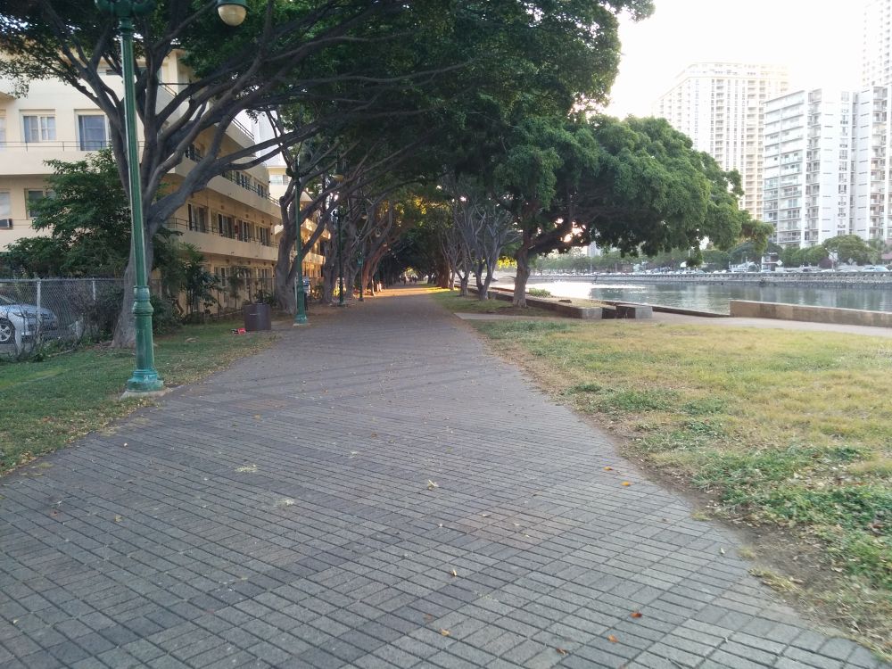 アラワイ運河・ほのぼのとした時間を。の写真7