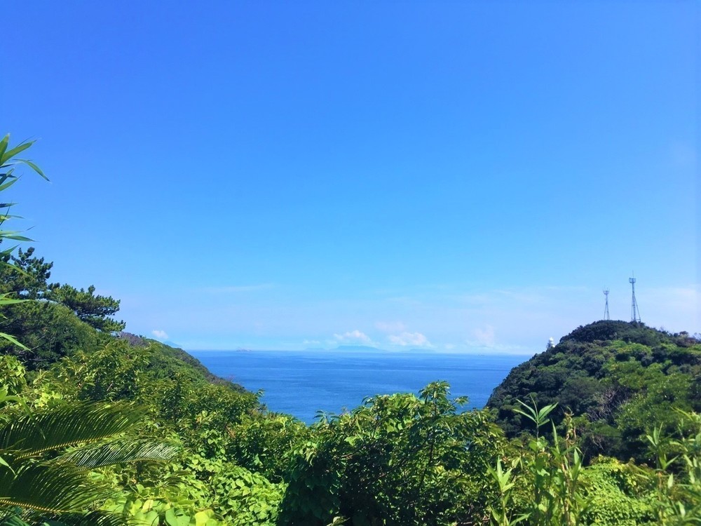 伊豆最南端！秘境シーサイドトレイルの写真3