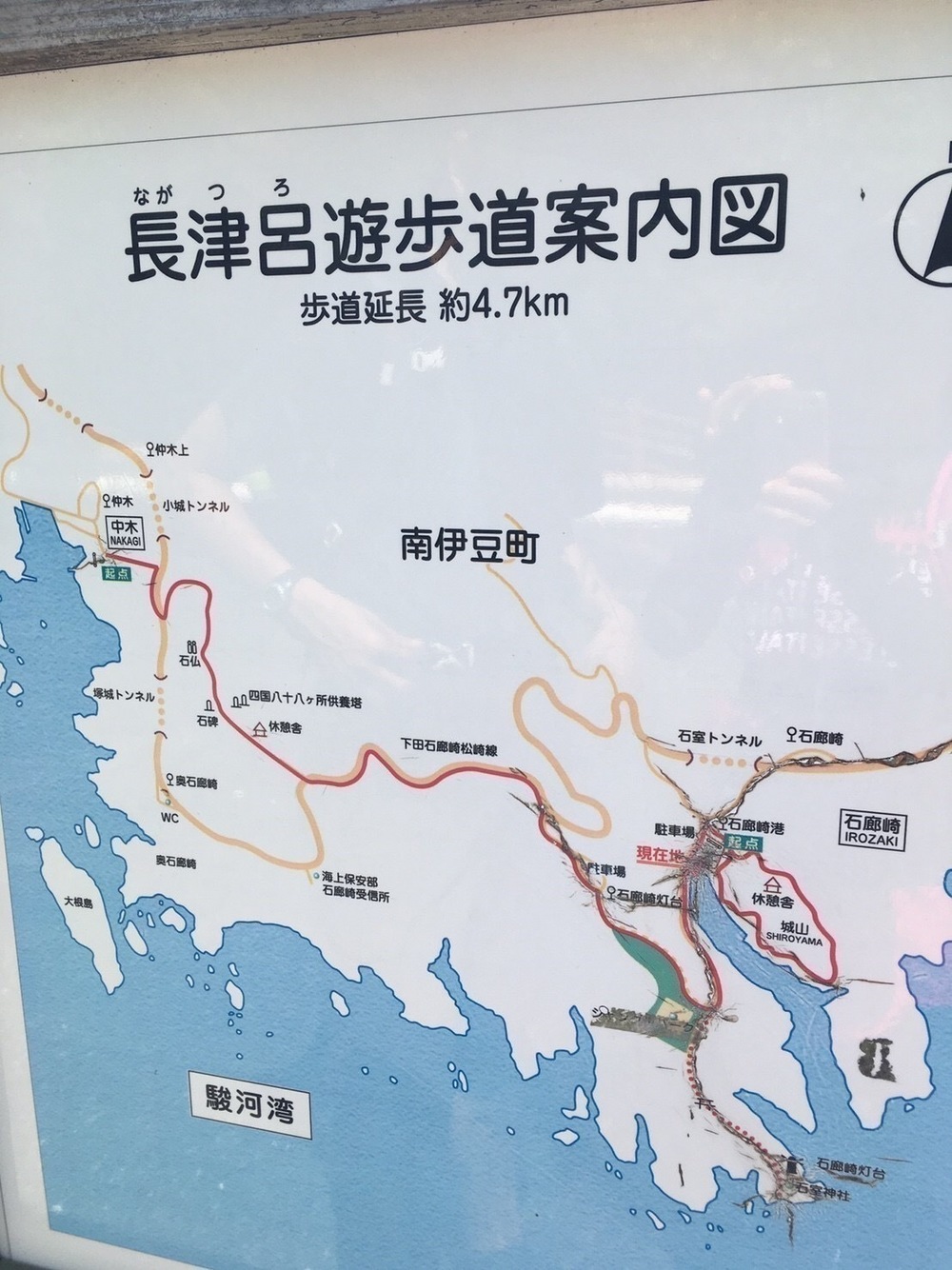 伊豆最南端！秘境シーサイドトレイルの写真9