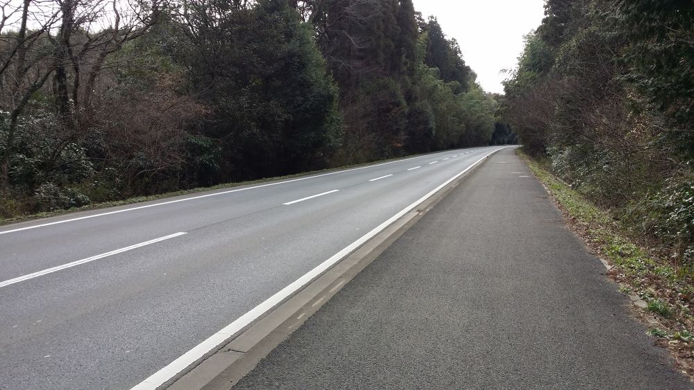 空港ラン！成田空港脱出ゲーム編の写真10