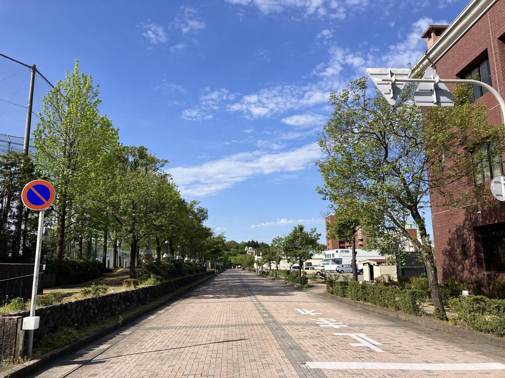 富山の駅巡り　JR城端線　高岡ー砺波21kmの写真4