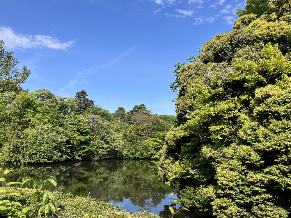 富山の駅巡り　JR城端線　高岡ー砺波21kmの写真5