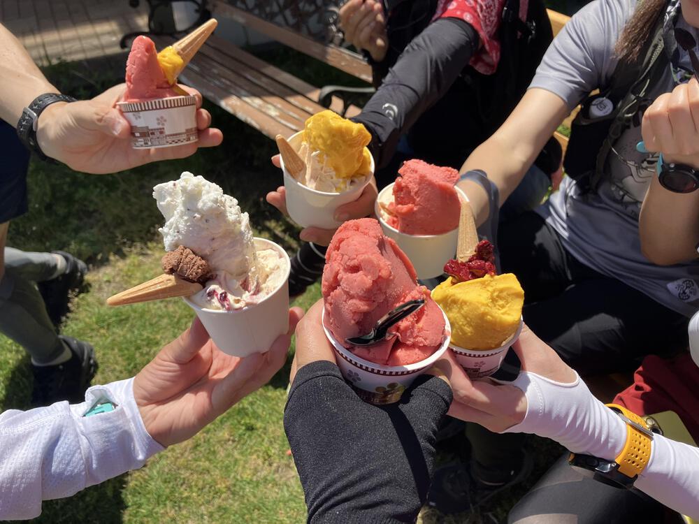 富山の駅巡り　JR城端線　高岡ー砺波21kmの写真26