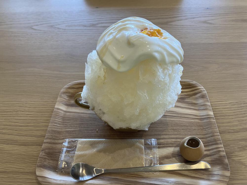 富山の駅巡り　JR城端線　砺波ー城端18kmの写真10