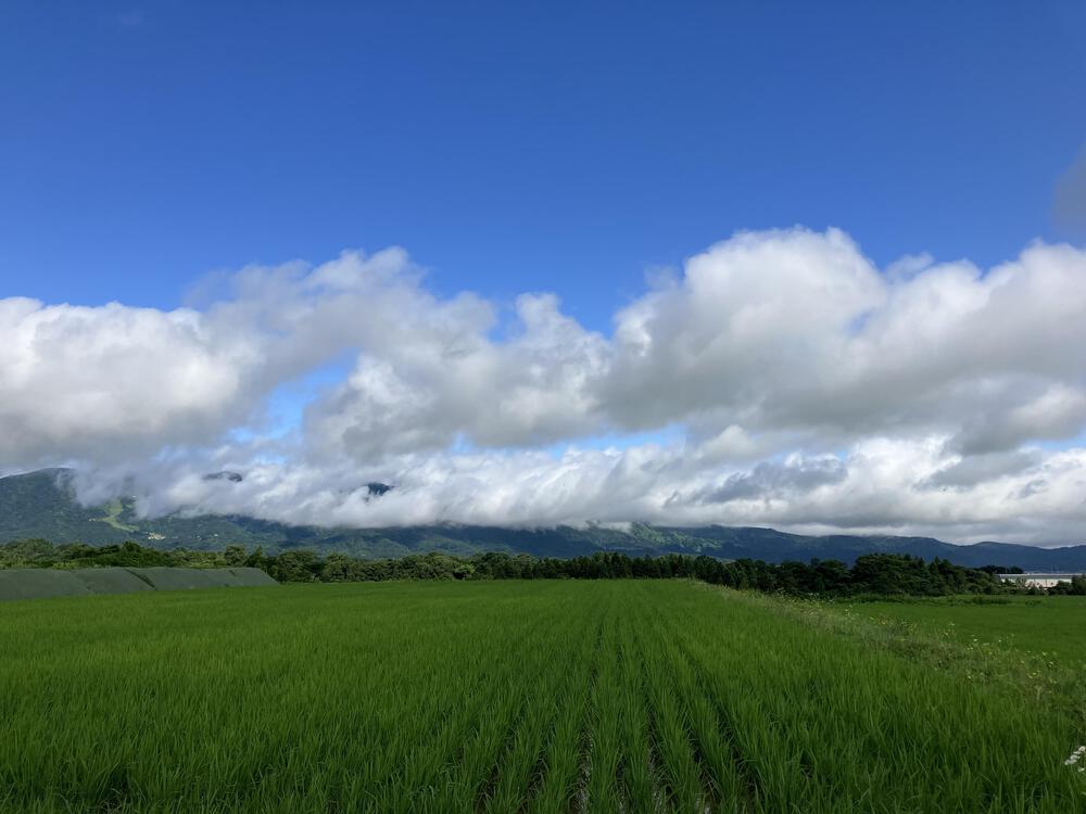 富山の駅巡り　JR城端線　砺波ー城端18kmの写真20