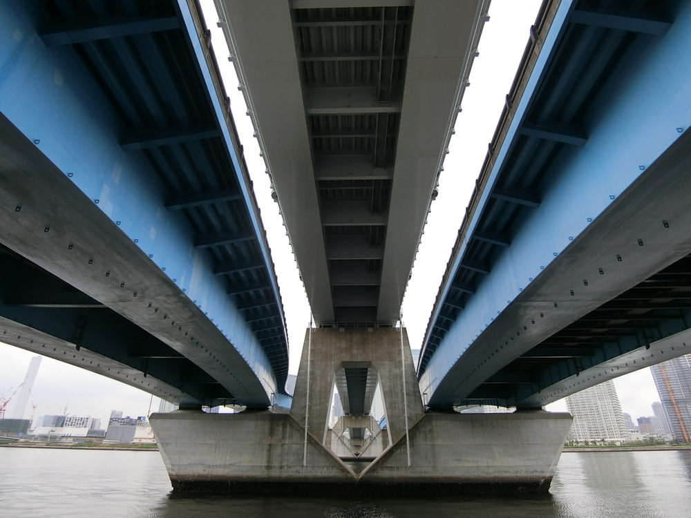 オープンしたての＜豊洲ぐるり公園＞の超気持ち良い湾岸ビューコースの写真7