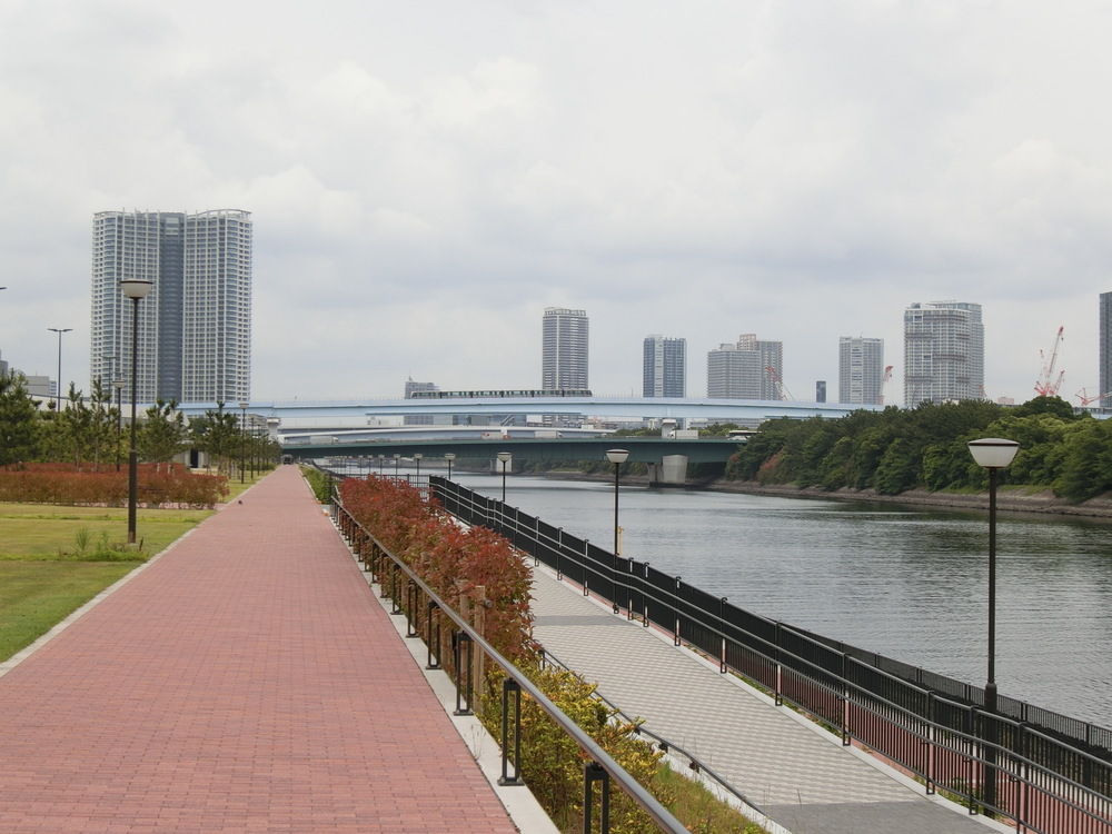 オープンしたての＜豊洲ぐるり公園＞の超気持ち良い湾岸ビューコースの写真13