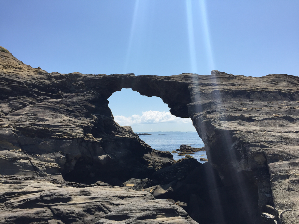 三浦半島ラン(三浦海岸〜油壺マリンパーク)の写真7