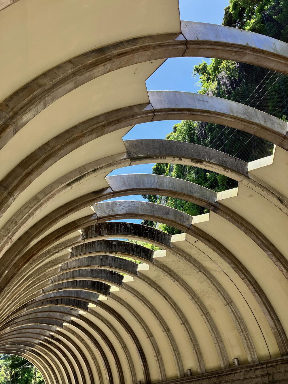 街道ラン いざ鎌倉！の写真9