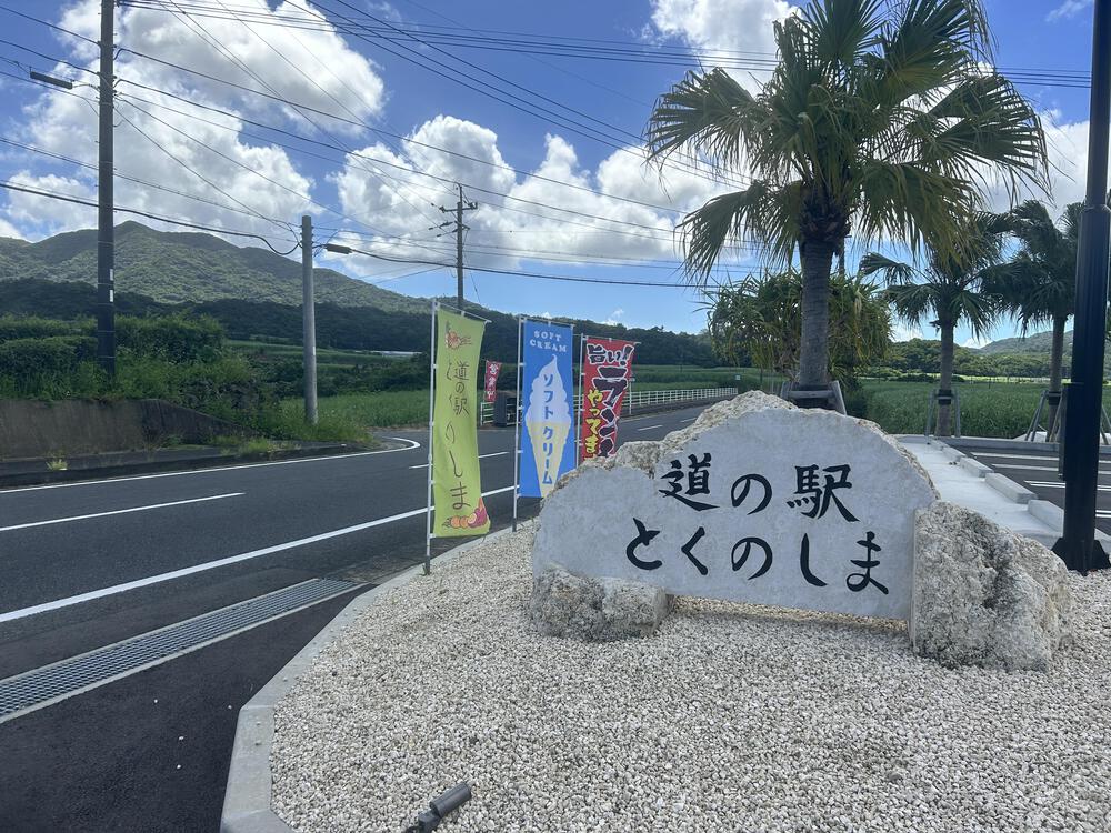 【徳之島】高橋尚子（Qちゃん）ロードの写真4