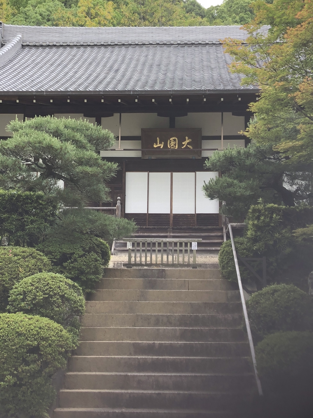 神戸三宮駅から徳光院、布引の滝、布引貯水池、布引ハーブ園、神戸クアハウスの写真7
