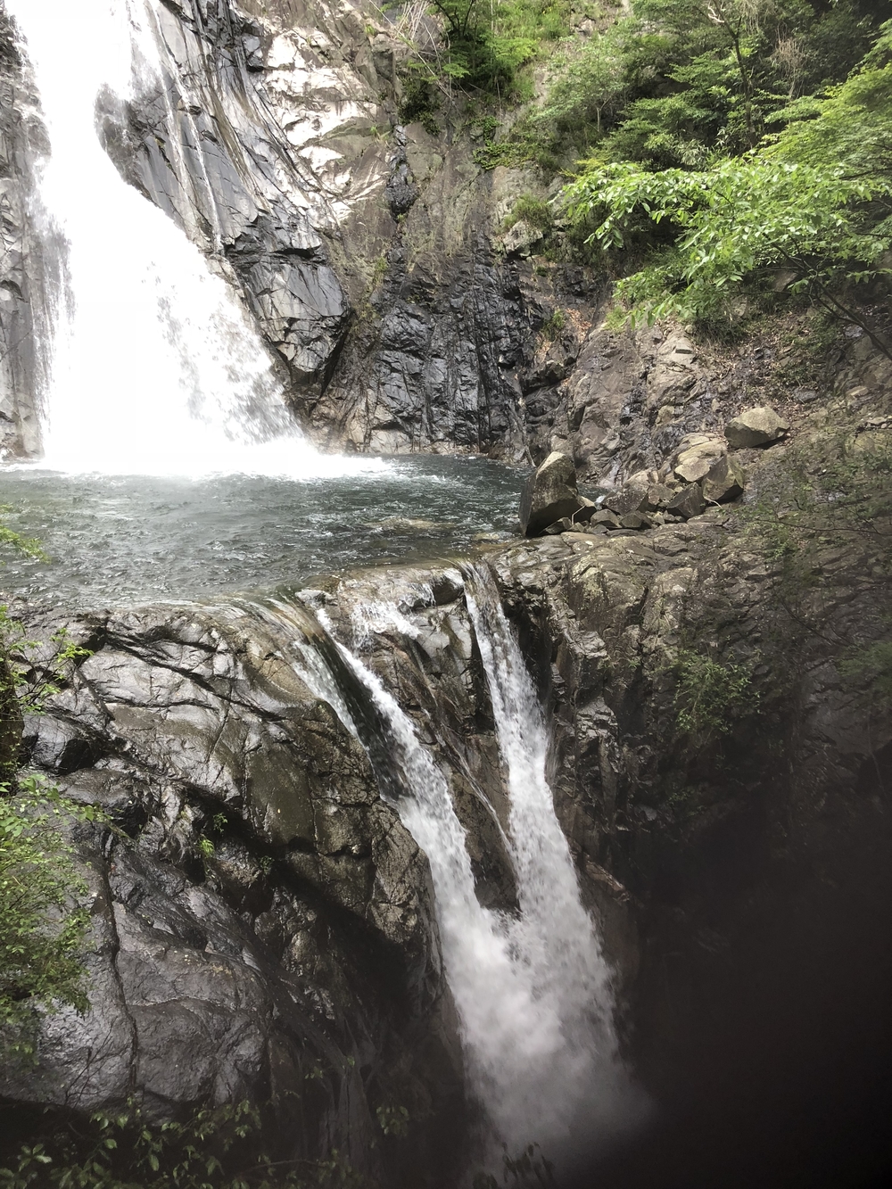 神戸三宮駅から徳光院、布引の滝、布引貯水池、布引ハーブ園、神戸クアハウスの写真11