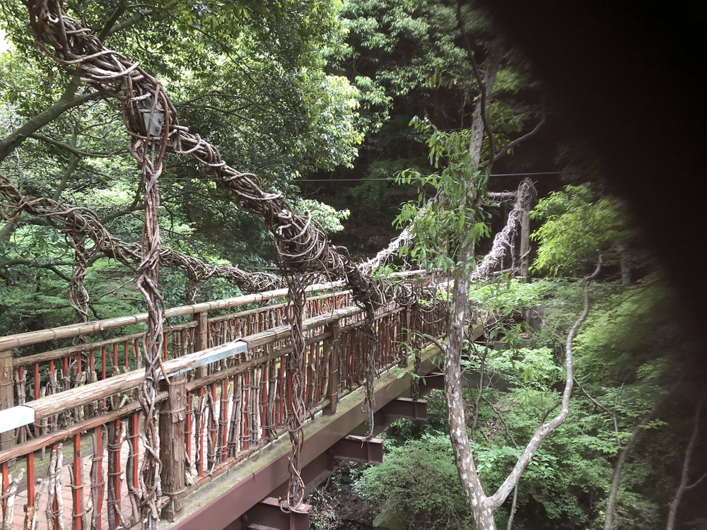 神戸三宮駅から徳光院、布引の滝、布引貯水池、布引ハーブ園、神戸クアハウスの写真13