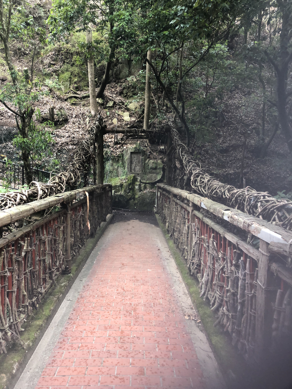 神戸三宮駅から徳光院、布引の滝、布引貯水池、布引ハーブ園、神戸クアハウスの写真14