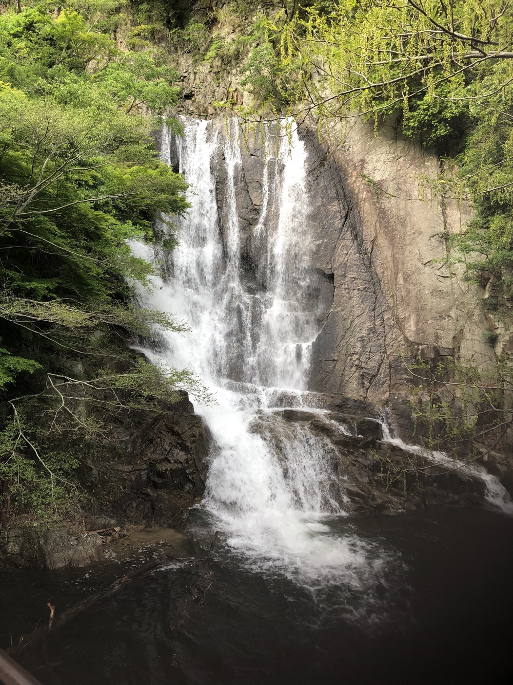 神戸三宮駅から徳光院、布引の滝、布引貯水池、布引ハーブ園、神戸クアハウスの写真15