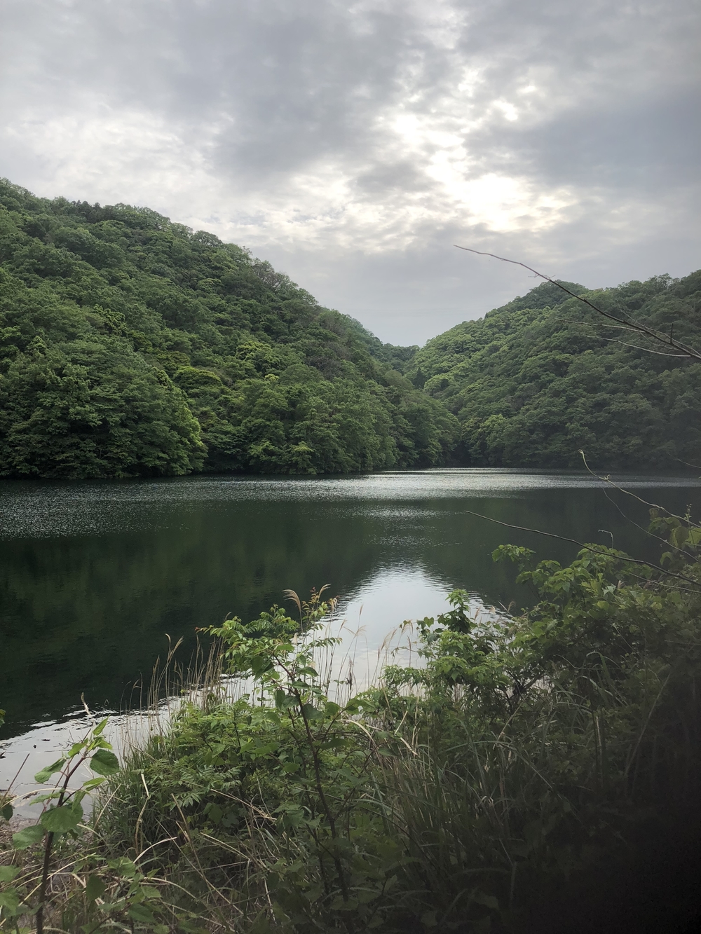 神戸三宮駅から徳光院、布引の滝、布引貯水池、布引ハーブ園、神戸クアハウスの写真16