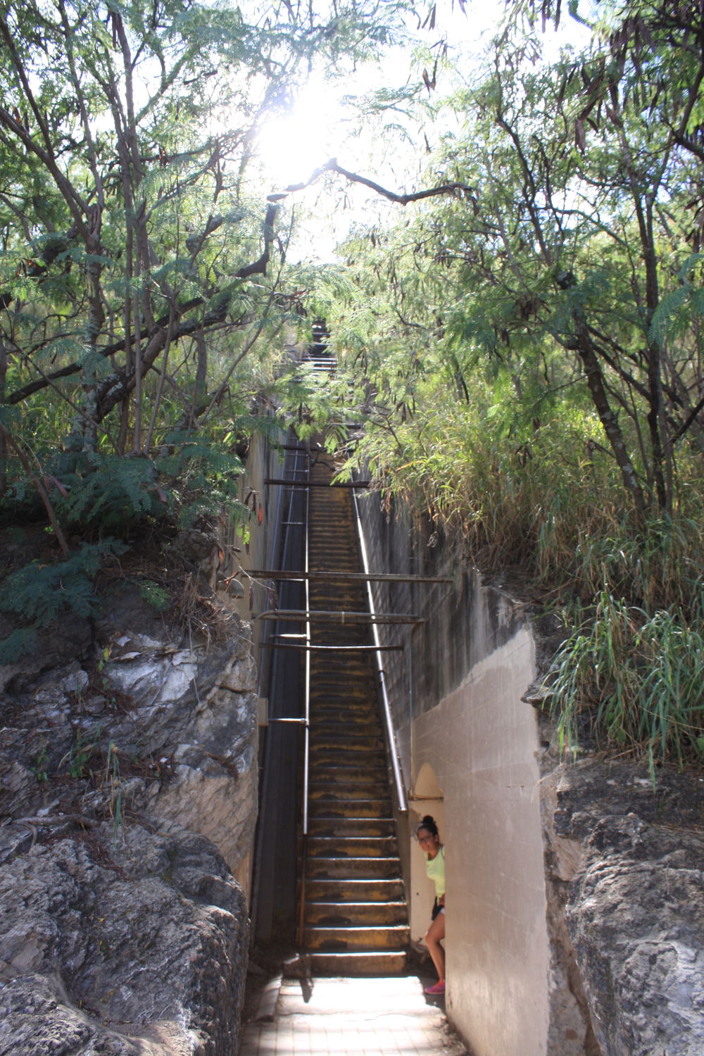 ダイヤモンドヘッドを走る。の写真9