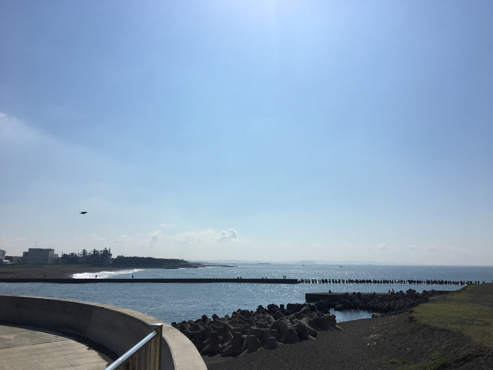 茅ヶ崎駅から相模川河口へ、柳島スポーツ公園でインターバル練習も。の写真4