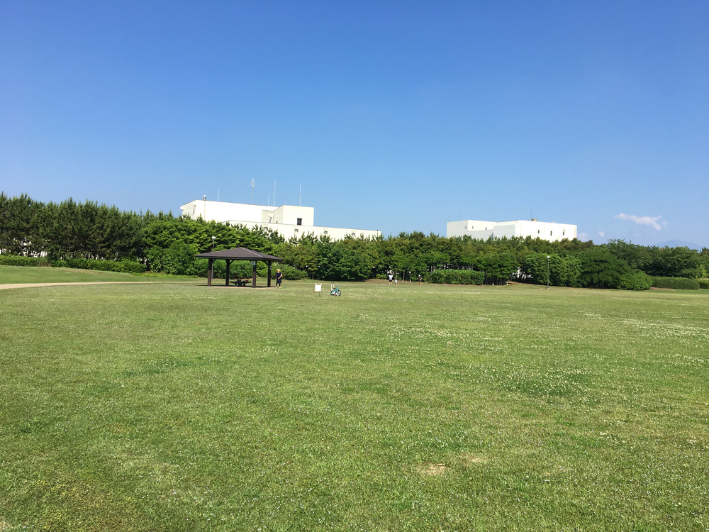 茅ヶ崎駅から相模川河口へ、柳島スポーツ公園でインターバル練習も。の写真5
