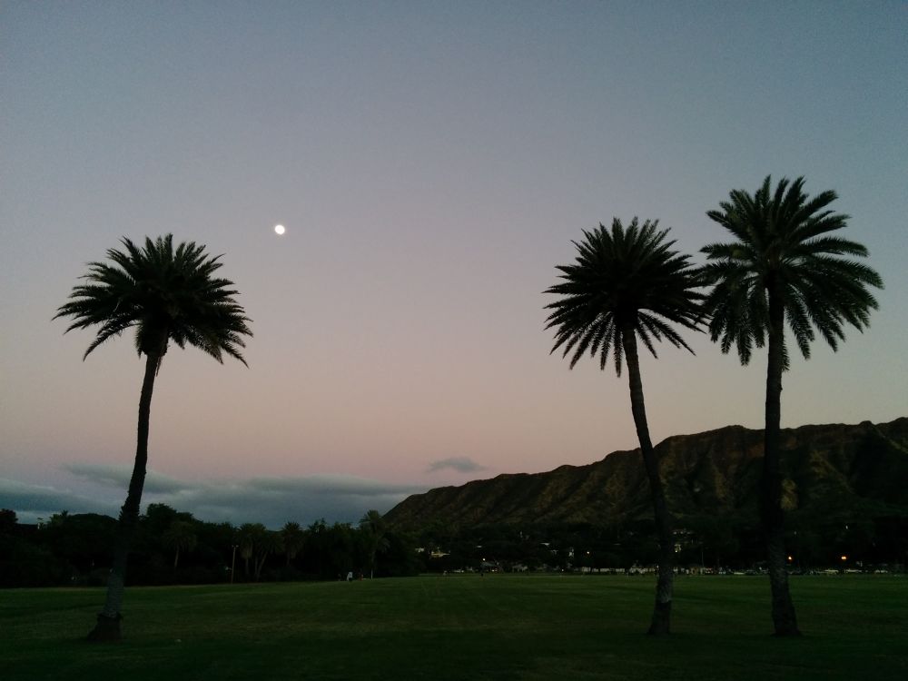 ハワイの皇居の写真5