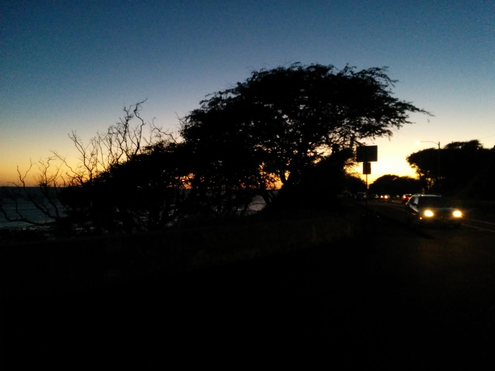 ハワイの皇居の写真8