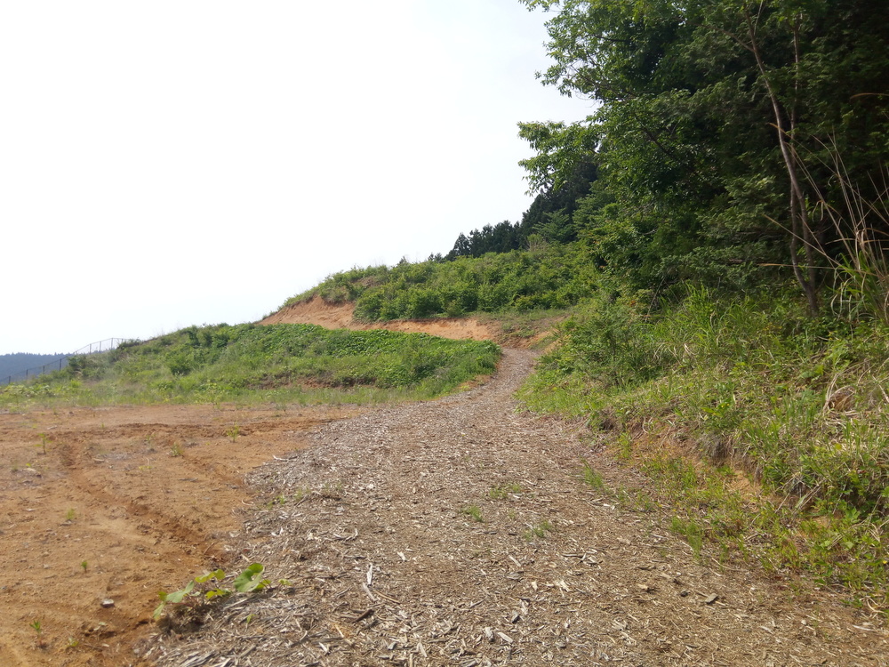 ビギナーにおすすめ倉渕トレランコースの写真3