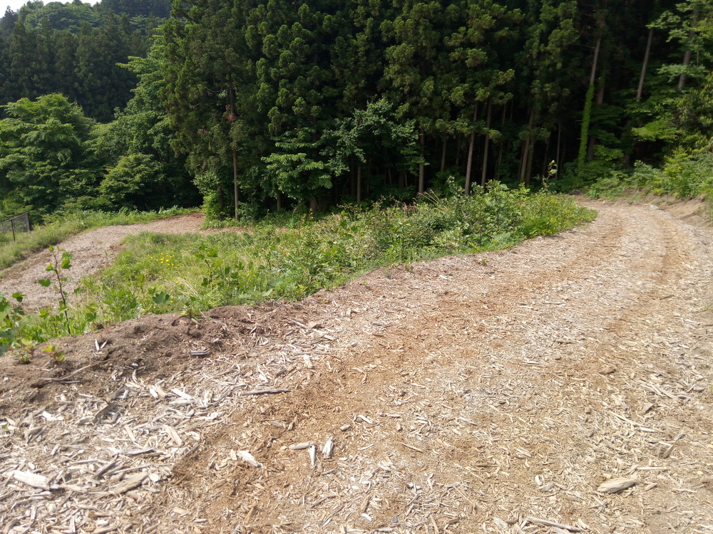 ビギナーにおすすめ倉渕トレランコースの写真4