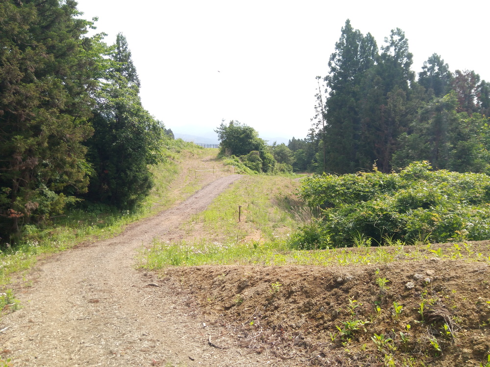 ビギナーにおすすめ倉渕トレランコースの写真6