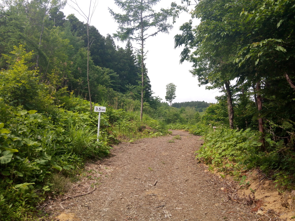 ビギナーにおすすめ倉渕トレランコースの写真7