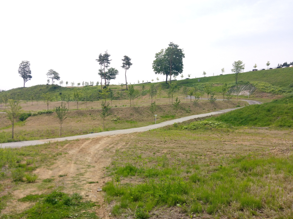 ビギナーにおすすめ倉渕トレランコースの写真9