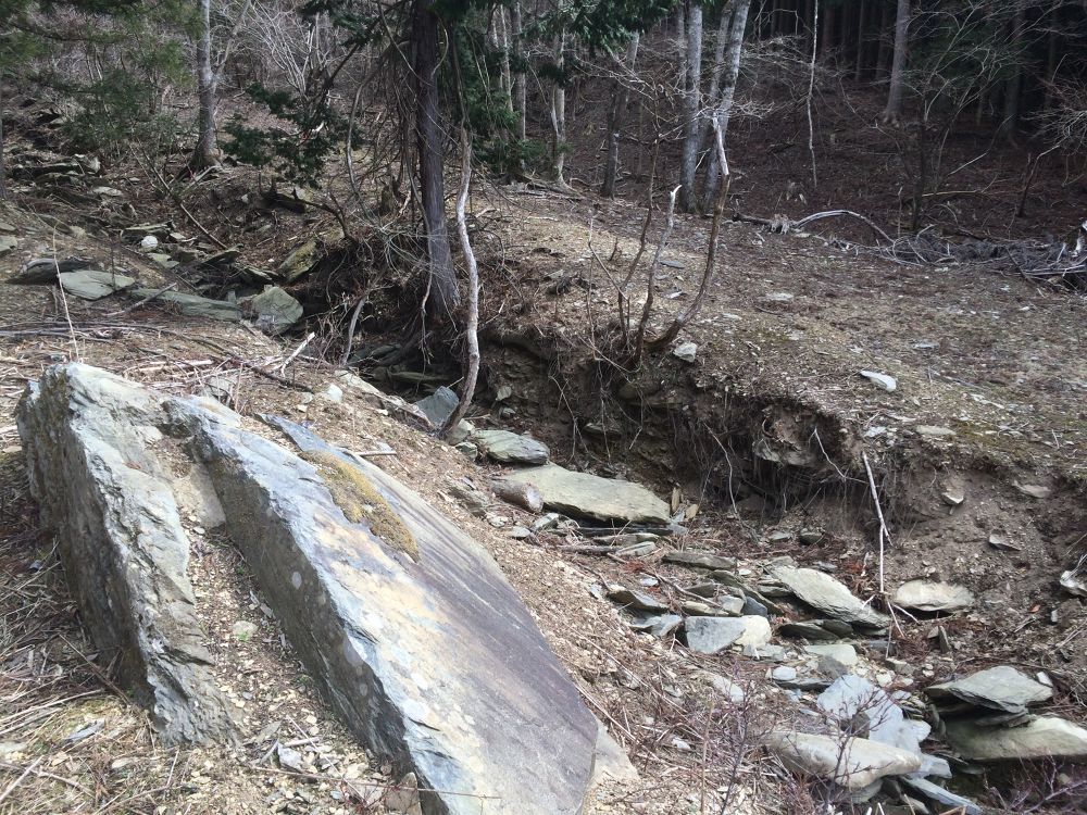 女川最高峰！山頂から海を眺める『石投山』トレイルの写真3