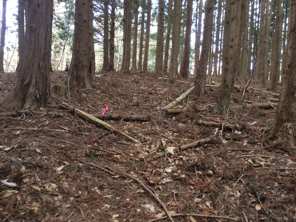 女川最高峰！山頂から海を眺める『石投山』トレイルの写真4