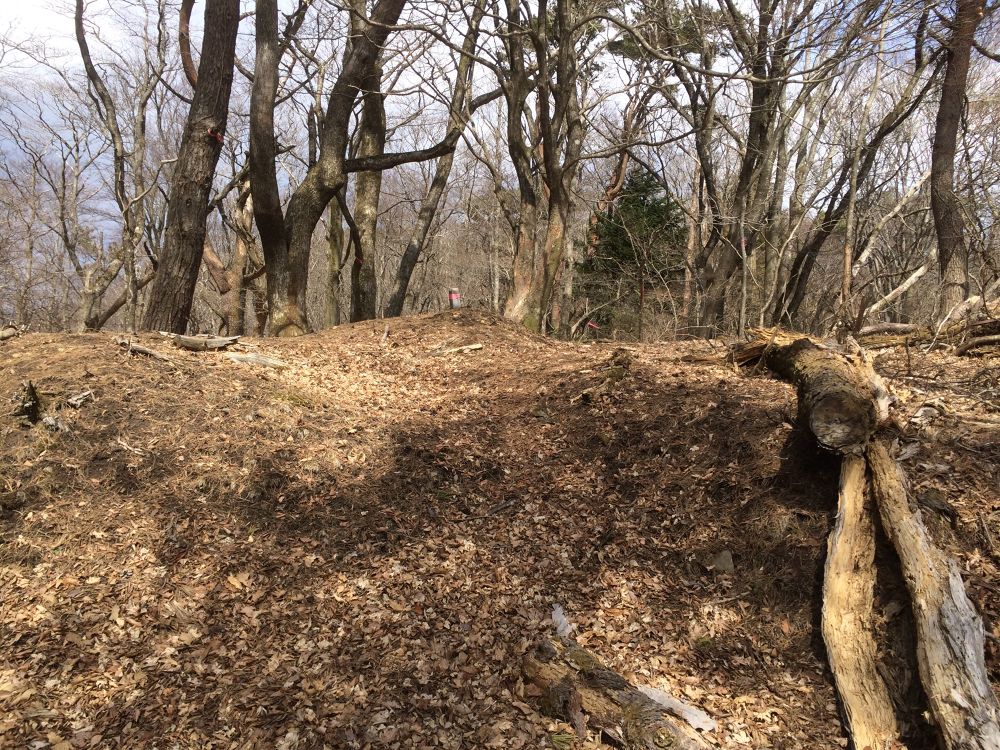 女川最高峰！山頂から海を眺める『石投山』トレイルの写真5