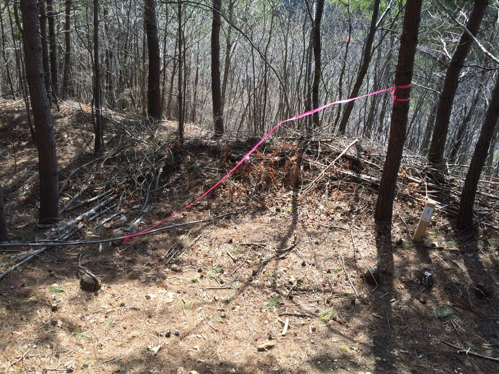 女川最高峰！山頂から海を眺める『石投山』トレイルの写真7