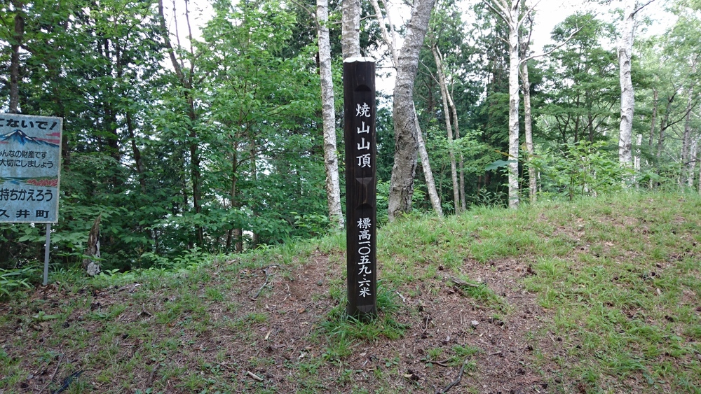 東海自然歩道 Takao to Tanzawa (高尾山口から大倉バス停まで)の写真4