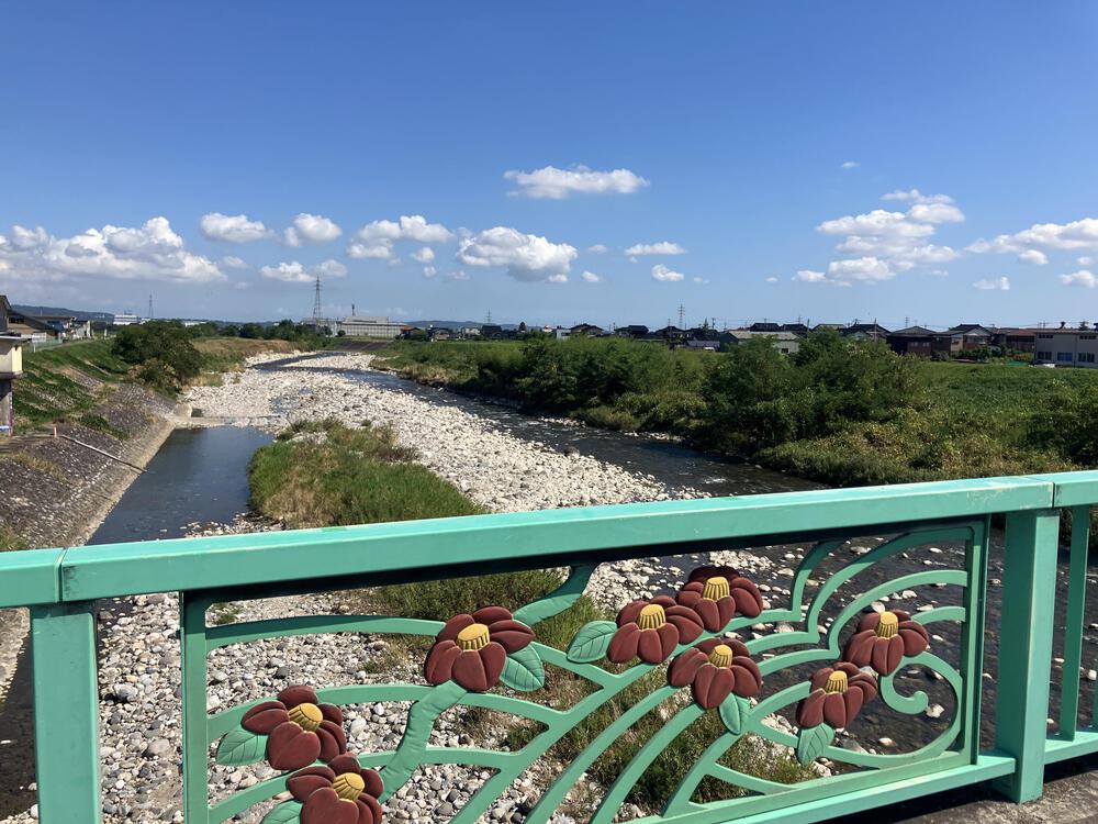 富山の駅巡り　JR高山線　越中八尾ー笹津11.5kmの写真5
